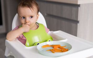 Como começar a introdução alimentar pelo método BLW com total segurança: o guia definitivo para os 6 meses do bebê